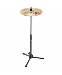 Asta piatto meinl ccs