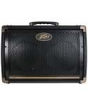 peavey Ecoustic® E208