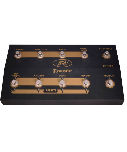 peavey ecoustic  foot controller