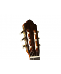 Esteve 7ce chitarra classica elettrificata