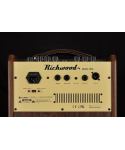 Richwood Rac-50 amplifier for acoustic guitar, 2 channels, 50W