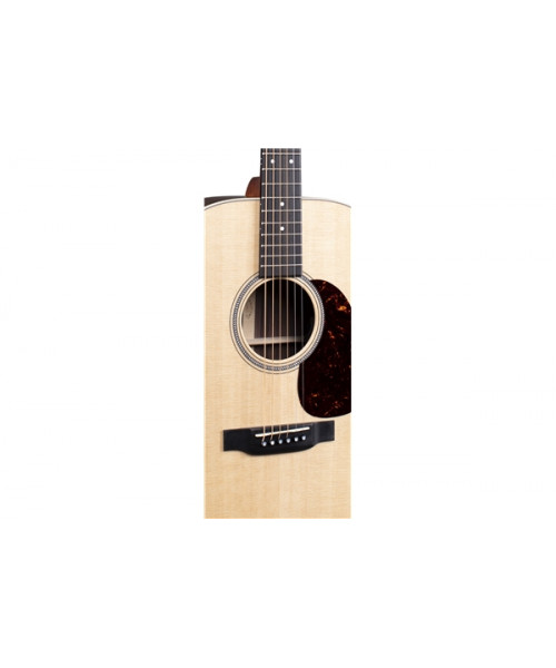 Martin & Co. D-16E rosewood