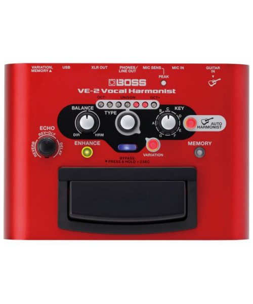 BOSS You-2 Vocal Processor