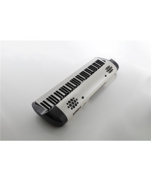 Korg SV2-73s