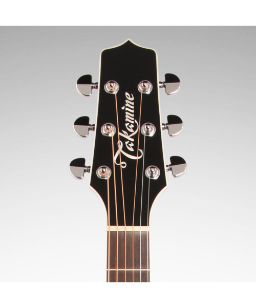 TAKAMINE EF341SC