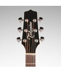 TAKAMINE EF341SC
