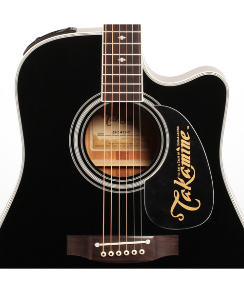 TAKAMINE EF341SC