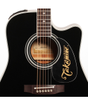 TAKAMINE EF341SC