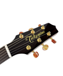 TAKAMINE TSF40C