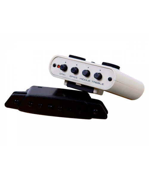 sire guitars r3 (gz) ga cutaway zebra 7 nat natural