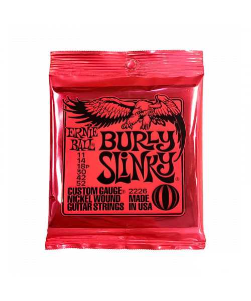 Ernie ball p02226