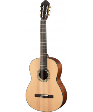 Walden Wan550EW Classical Guitar Nature 500