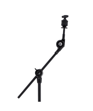 mAPEX IT B60EB Flat Auction A Giraffe Mars