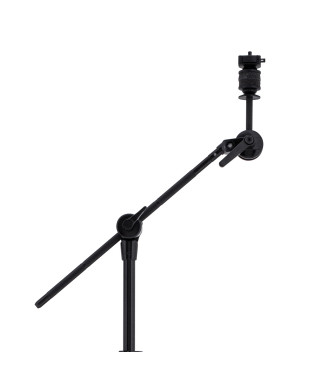 mAPEX IT B80EB Flat Auction A Giraffe Armory