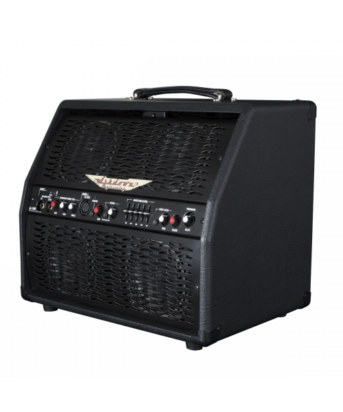 Ashdown AA-100-r