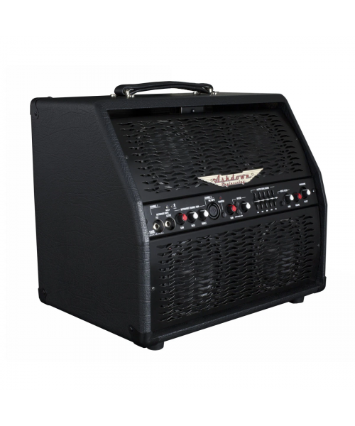 Ashdown AA-100-r
