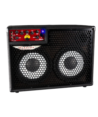 Ashdown Original C210T-300