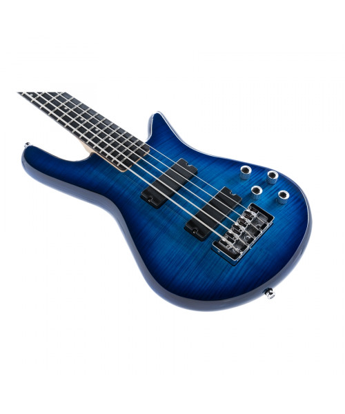 spector legend 5 standard blue stain bassi elettrici