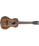 Kala ka-Mg-C - Ukulele Concerto Spalted Mango - c / bag