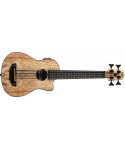 Kala UBASS-SP-MAP-FS - U-BASS Spalted Electricized Maple - c/bortion