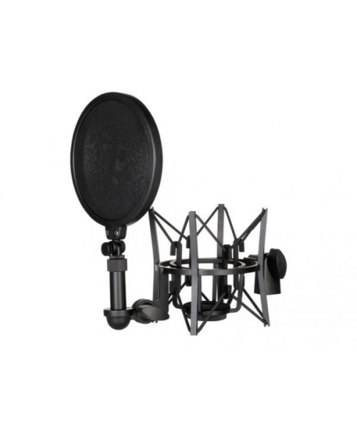 RODE Nt1-Complete bundles