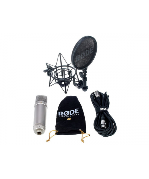 RODE Nt1-Complete bundles