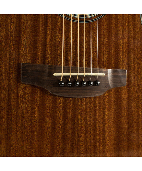 TAKAMINE NEW YORKER G SELECTED SERIES