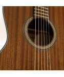 TAKAMINE NEW YORKER G SELECTED SERIES