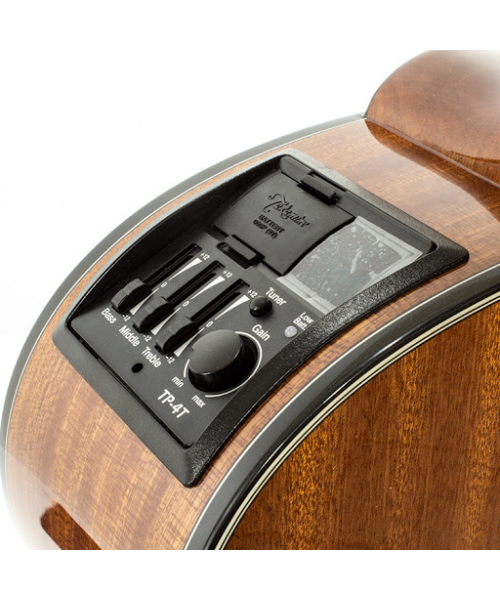 TAKAMINE NEW YORKER G SELECTED SERIES