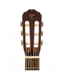 TAKAMINE GSC1CE CLASSICA CTW G SELECTED SERIES