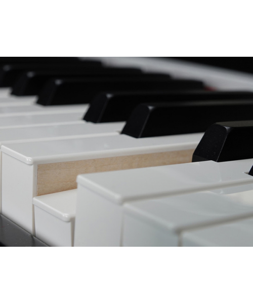 VISCOUNT Legend '70s Compact Basic