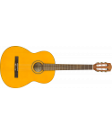 FENDER ESC105 Educational