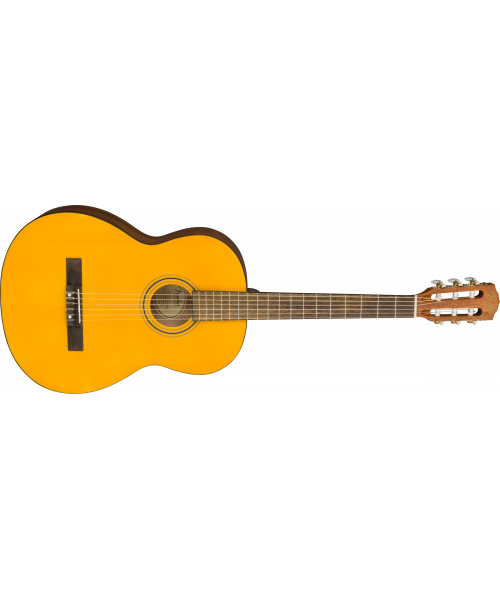 FENDER ESC105 Educational