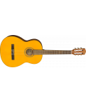 FENDER ESC105 Educational