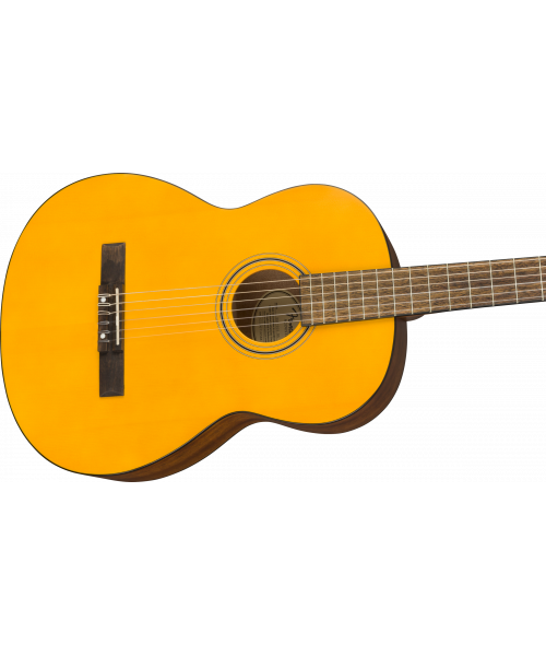 FENDER ESC105 Educational