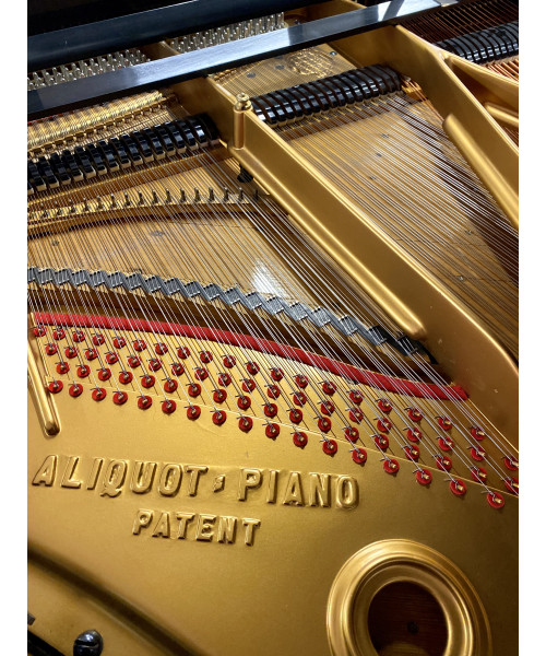 Half-tail piano KAWAI MoD. No 500 glossy black