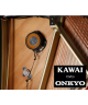 KAWAI K-500 AURES NERO LUCIDO