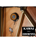 KAWAI K-500 shiny black aures