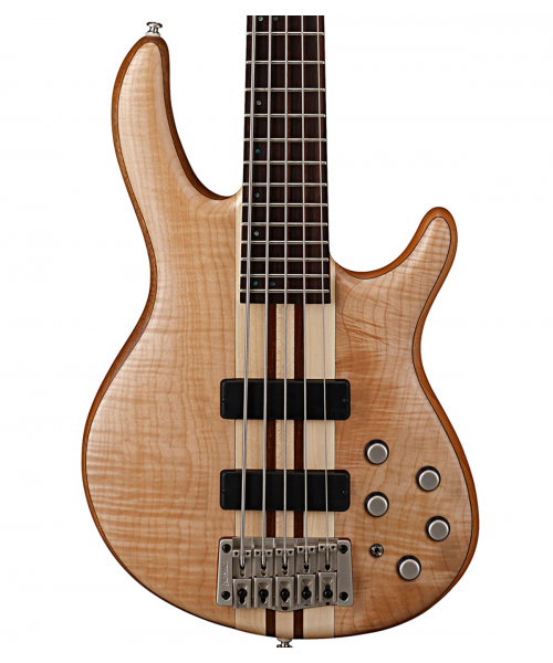 CORT Artisan A5 Plus FMMH OPN