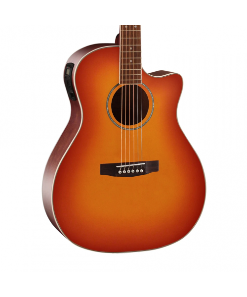 CORT Ga-MEDX LVBS W / BAG