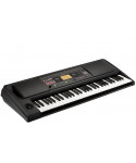 Korg Ek-50 l