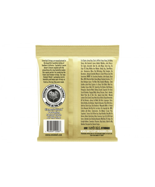 Ernie Ball 2008 Earthwood Rock & Blues con Sol Liscio 80/20 Bronze 11-52