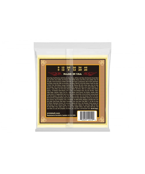 Ernie Ball 2010 Earthwood 80/20 Bronze Light 9-46