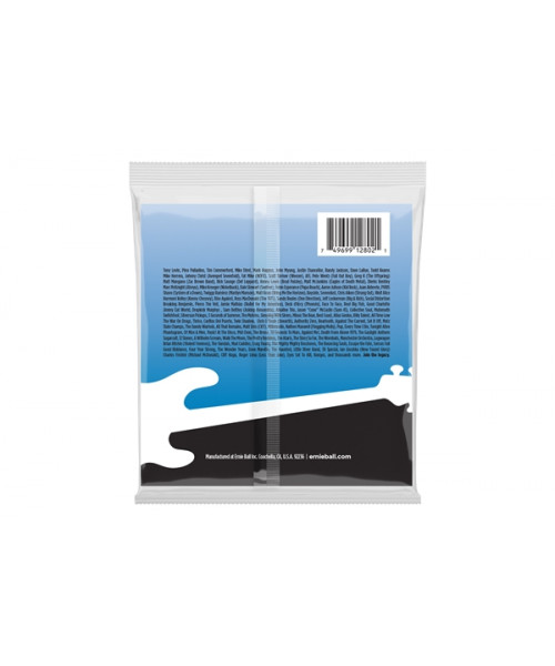 Ernie Ball 2802 Flatwound Group I 55-110