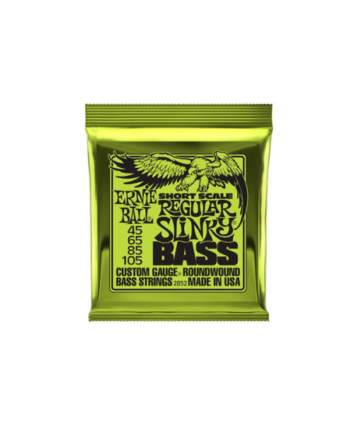 Ernie Ball 2852 Nickel Wound Sort Scala Regular 45-105
