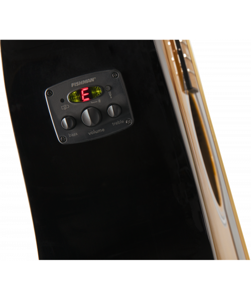 FENDER Does-125CE Dreadnought SB WN