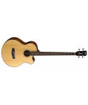 CORT AB850F low acoustic