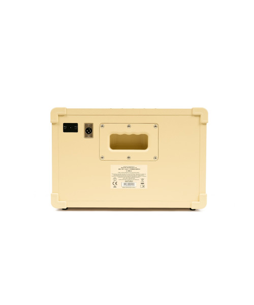 BLACKSTAR Acoustic Core 30