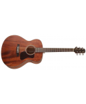 walden WAG551E Nature Acoustic Guitar 500