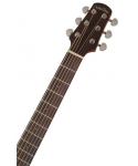 walden wag551e chitarra acustica natura 500